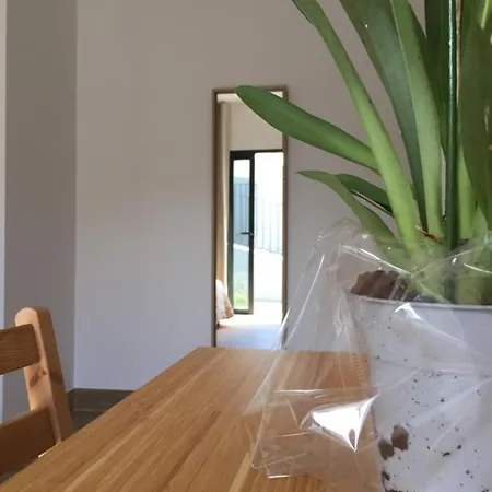 Calheta Ocean View Family - Air Condition Estreito Da Calheta