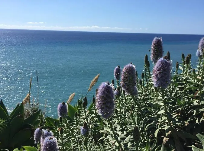 Calheta Ocean View Family - Air Condition