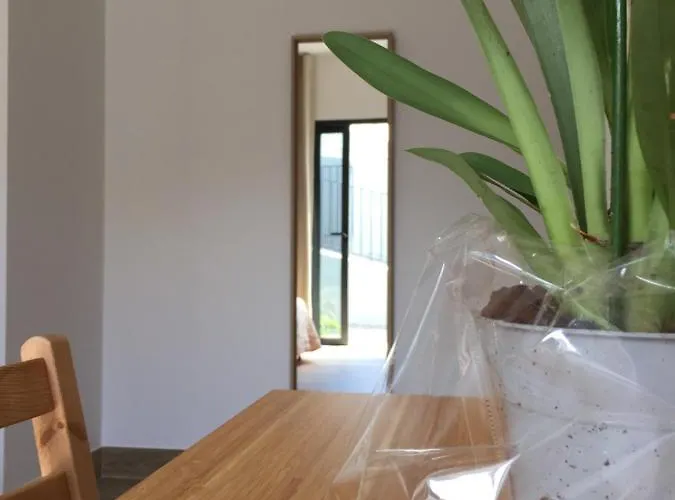 Calheta Ocean View Family - Air Condition Estreito Da Calheta